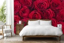 Red Rose Flowers Wall Mural Wallpaper