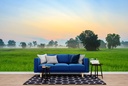 Rice Field Sunset Wall Mural Wallpaper