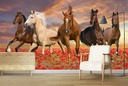 Running Wild Horses Wall Mural Wallpaper