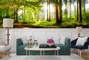 Spring Forest Panoramic Wall Mural Wallpaper - Mod4