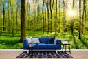 Sunlit Green Forest Panoramic Wall Mural Wallpaper