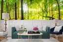 Sunlit Green Trees Forest Wall Mural Wallpaper