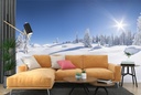 Winter Forest Panoramic Wall Mural Wallpaper