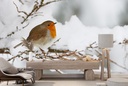 Winter Robin Wall Mural Wallpaper