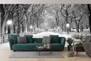 Winter Trees Central Park New York Wall Mural Wallpaper