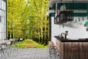Green Trees Forest Path Wall Mural Wallpaper