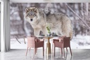 Grey Wolf Wall Mural Wallpaper