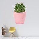 Cactus Desert Plant Wall Sticker