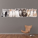 Cats & Kittens Wall Sticker