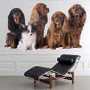Cavalier King Charles Spaniel Dogs Wall Sticker