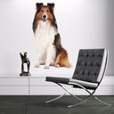 Collie Dog Pet Wall Sticker
