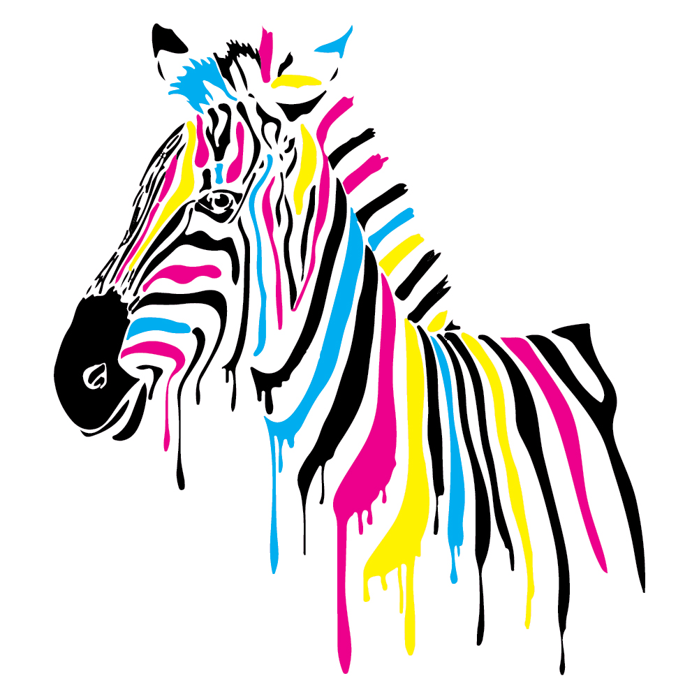 Colourful Painted Zebra Wall Sticker