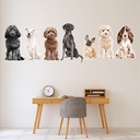 Dog Group 2 Dog Kennels Grooming Wall Sticker
