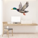 Flying Duck Mallard Bird Wall Sticker