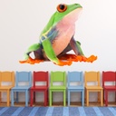 Green Tree Frog Wall Sticker