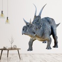 Grey Triceratops Dinosaur Wall Sticker - Mod6