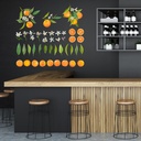 Orange Fruit Wall Sticker Set