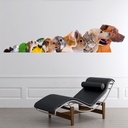 Pet Size Chart Dog Cat Bird Wall Sticker