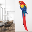 Red Blue Parrot Wall Sticker Wall Sticker