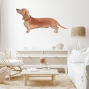 Tan Dachshund Dog Kennels Grooming Wall Sticker