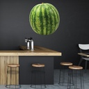 Watermelon Fresh Fruit Wall Sticker