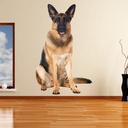 Alsatian Dog Wall Sticker