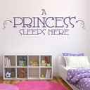 A Princess Sleeps Here Nursery Quote Wall Sticker - Mod2
