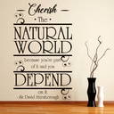 Cherish The World David Attenborough Quote Wall Sticker