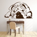 English Bulldog Pets Dogs Wall Sticker