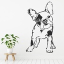 French Bulldog Pets Dogs Animals Wall Sticker
