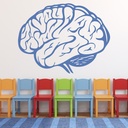 Human Brain Science Wall Sticker