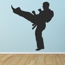 Martial Arts Karate Kick Wall Sticker - Mod9
