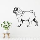Pug Dog Canine Pets Wall Sticker