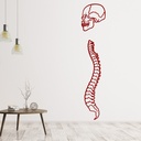 Skull And Spine Skeleton Halloween Wall Sticker