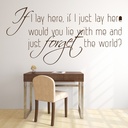 Snow Patrol Wall Sticker