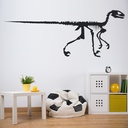 Velociraptor Skeleton Dinosaur Fossil Wall Sticker