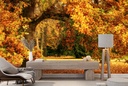 Autumn Forest Wall Mural Wallpaper