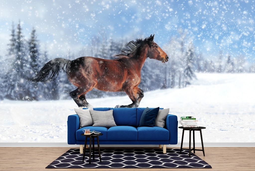 Horse In White Winter Wall Mural Wallpaper
