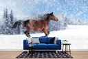 Horse In White Winter Wall Mural Wallpaper
