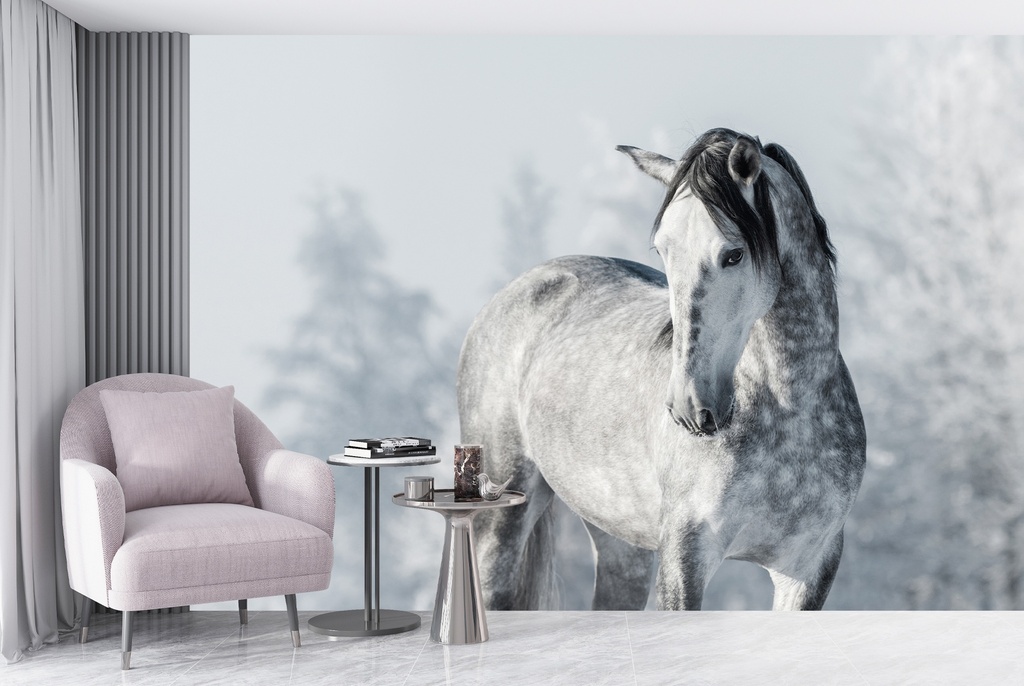 Grey Spanish Thoroughbred Horse Wall Mural Wallpaper