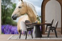 White Horse In Purple Flower Meadow Wall Mural Wallpaper