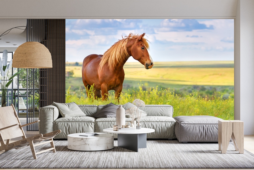 Country Horse Wall Mural Wallpaper