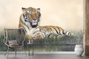 Resting Male Tiger Wall Mural Wallpaper