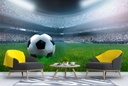 Football Pitch Field Wall Mural Wallpaper
