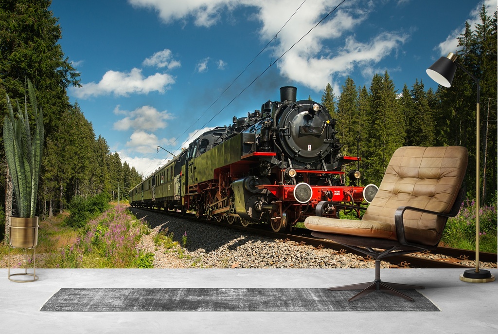 Black Steam Train Transport Wall Mural Wallpaper