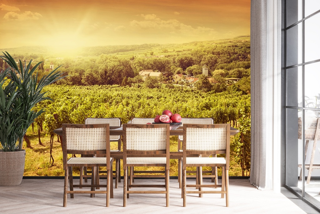 Vineyard Landscape Sunset Wall Mural Wallpaper