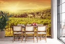 Vineyard Landscape Sunset Wall Mural Wallpaper