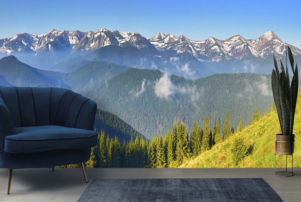 Spring Forest White Mountains Wall Mural Wallpaper