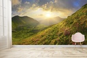 Spring Meadow Mountain Landscape Wall Mural Wallpaper
