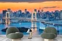 Tokyo City Rainbow Bridge Wall Mural Wallpaper